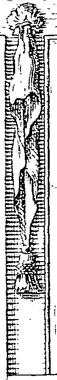 064/064260030000990_1.png