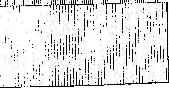 064/064260030001560_0.png