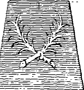 064/064260030001620_0.png
