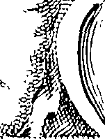 064/064260030001670_1.png
