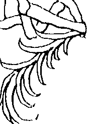 064/064260030002030_0.png
