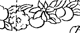 064/064260030002030_1.png