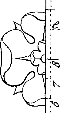 064/064260030002050_1.png
