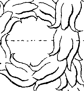 064/064260030002090_0.png