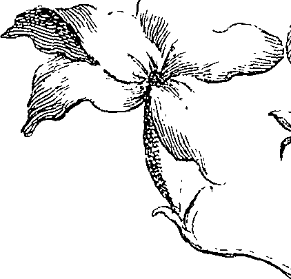 064/064260050000660_1.png