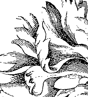 064/064260050000680_0.png