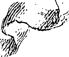 064/064260050000690_0.png