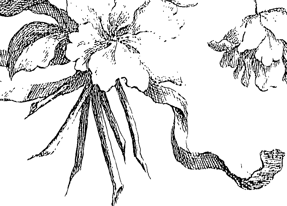 064/064260050000690_1.png