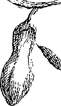 064/064260050000690_2.png