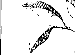 064/064260050000700_0.png