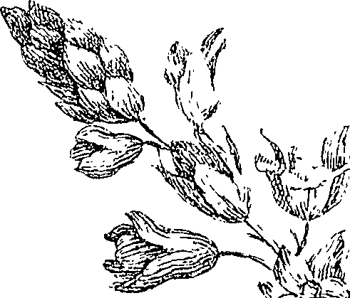 064/064260050000710_0.png