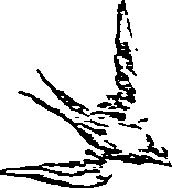 064/064260050000720_0.png