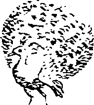 064/064260050000720_1.png
