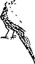 064/064260050000720_2.png