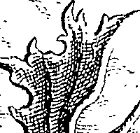 064/064260050000750_0.png
