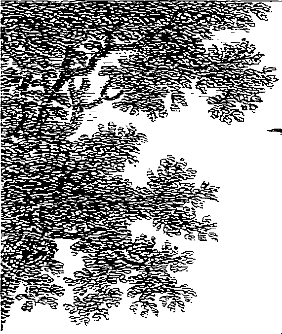 064/064260050000810_0.png
