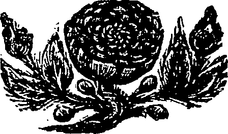 064/064260110000010_1.png