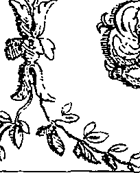 064/064260130000980_4.png