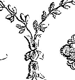 064/064260130000980_5.png