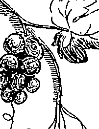 064/064260130001330_0.png