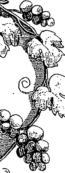 064/064260130001330_1.png