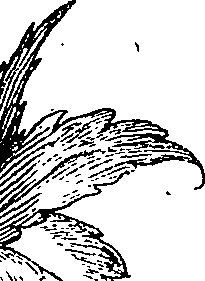 064/064260130001330_3.png