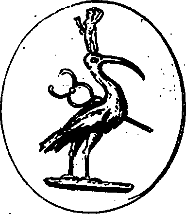 064/064270010203900_2.png