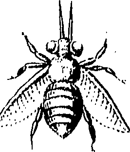 064/064270010204040_0.png