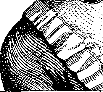 064/064290010000420_0.png