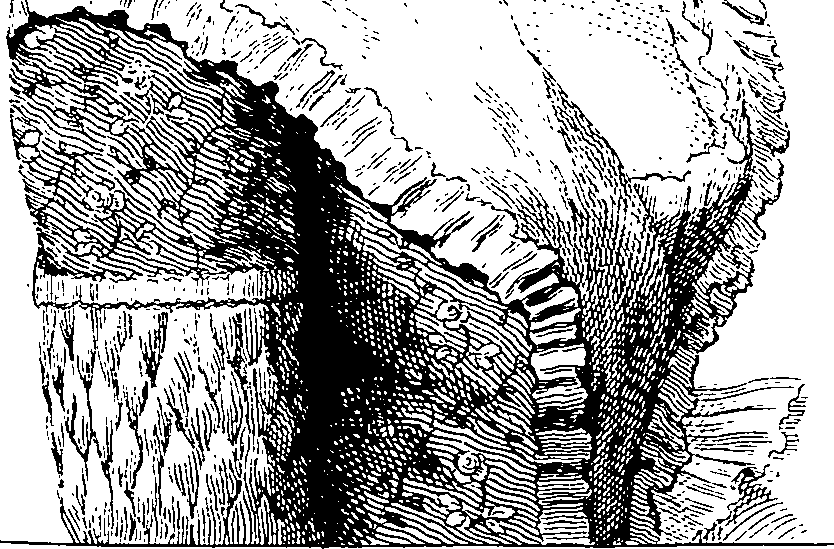 064/064290010002550_0.png
