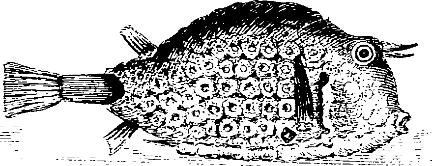 064/064290040502930_0.png