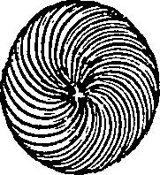 064/064300080101130_0.png