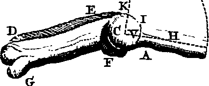 064/064300080101560_1.png