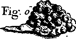 064/064300080101820_1.png
