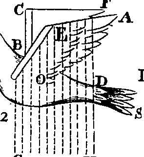 064/064300080201270_0.png