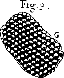 064/064300080201460_2.png