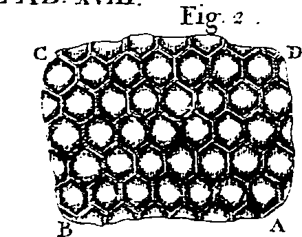 064/064300080201460_3.png