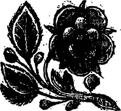 064/064330020000010_0.png
