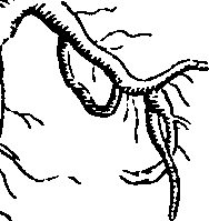 064/064330110001460_1.png