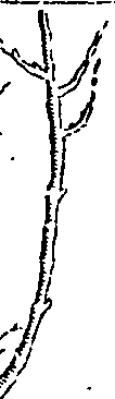 064/064330110001460_2.png