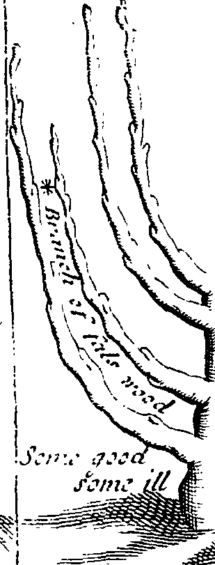 064/064330110001620_0.png