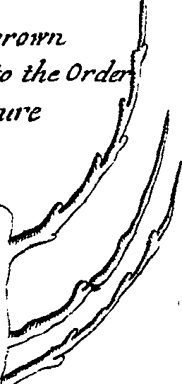 064/064330110001620_2.png