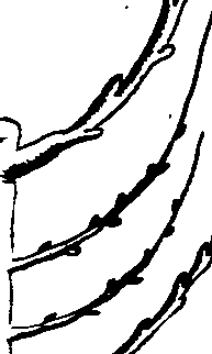 064/064330110001700_1.png