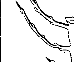 064/064330110001710_0.png