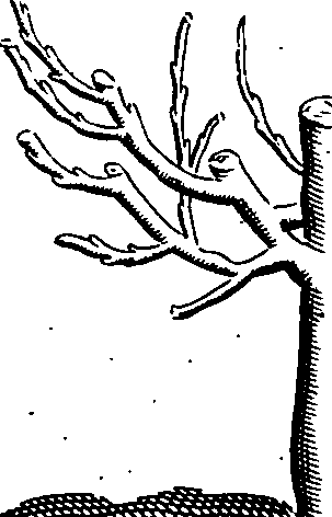 064/064330110002060_0.png