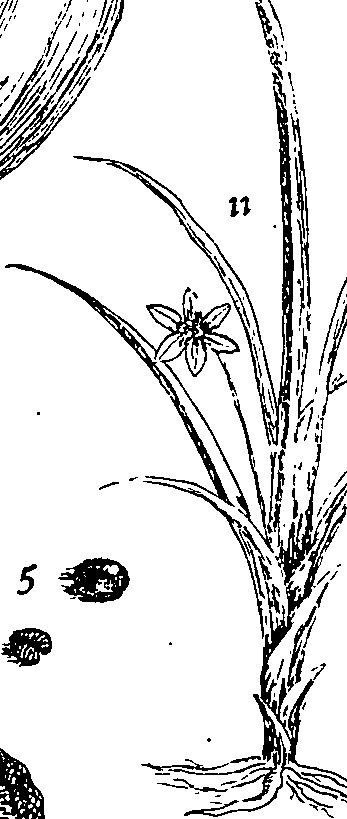 064/064340010100330_0.png