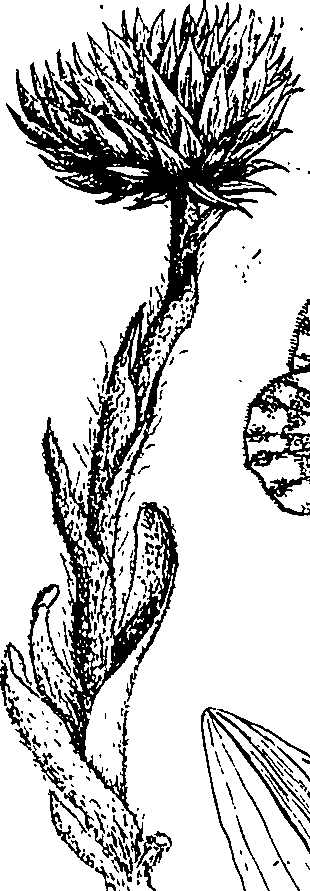 064/064340010100330_2.png