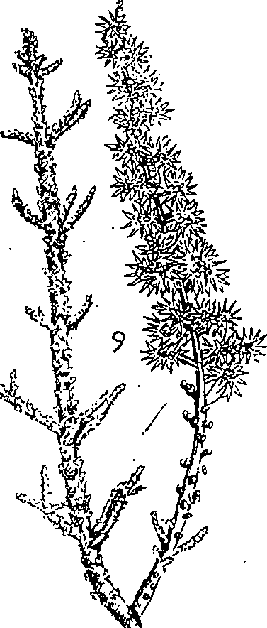 064/064340010100350_0.png
