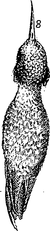 064/064340010100350_1.png