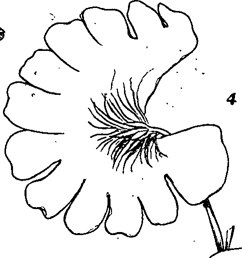 064/064340010100360_1.png